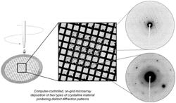 HIGH THROUGHPUT MICROCRYSTAL SOAKING FOR STRUCTURAL ANALYSIS OF PROTEIN-LIGAND INTERACTIONS