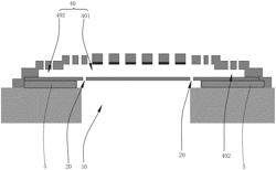 MICROPHONE AND METHOD FOR MANUFACTURING THE SAME