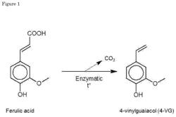 PRODUCTION OF AN ALCOHOL-FREE BEVERAGE