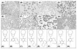 Radiopaque polymers