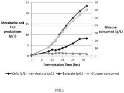 METHODS OF PRODUCING BUTYRATE PRODUCTS