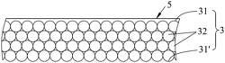 FORWARD OSMOSIS MEMBRANE HAVING LOW WATER RESISTANCE AND EXCELLENT MECHANICAL STRENGTH