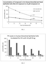 Highly active compounds against COVID-19