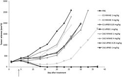 Antibody-drug conjugate comprising antibody against human ROR1 and use for the same