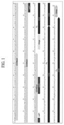 Compositions, methods and/or kits comprising a recombinant human CD38- extracellular domain