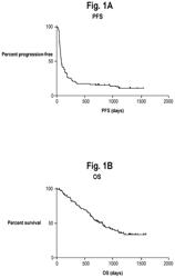 Predictive test for melanoma patient benefit from interleukin-2 (IL2) therapy