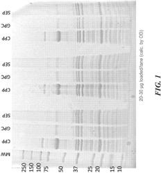 METHODS OF MANUFACTURE OF NUT FLOURS AND FORMULATIONS FOR ORAL IMMUNOTHERAPY