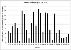 LACTASE ENZYMES WITH IMPROVED PROPERTIES