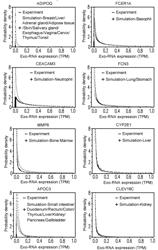 IDENTIFICATION SYSTEM OF CIRCULATING BIOMARKERS FOR CANCER DETECTION, DEVELOPMENT METHOD OF CIRCULATING BIOMARKERS FOR CANCER DETECTION, CANCER DETECTION METHOD AND KIT