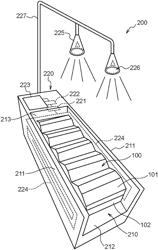 Inspection system, inspecting device, and gaming chip