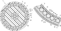 Coaxial cable and cable assembly