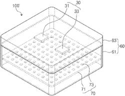 LIGHT SOURCE FOR PLANT CULTIVATION