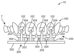 ORTHODONTIC BRACKET AND BRACKET SUPPORT SYSTEM AND METHOD