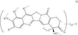 CONJUGATES OF A CELL-BINDING MOLECULE WITH CAMPTOTHECIN ANALOGS