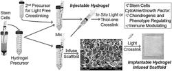 HYDROGEL SYSTEMS FOR SKELETAL INTERFACIAL TISSUE REGENERATION APPLIED TO EPIPHYSEAL GROWTH PLATE REPAIR