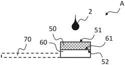 DEVICE FOR SEPARATION AND/OR PRESERVATION OF A BIOFLUID AT A POINT-OF-CARE, KIT AND METHOD FOR IDENTIFYING A DISEASE