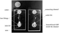 AN APPARATUS COMPRISING MICROFLUIDIC PROTEIN-BASED SENSORS AND METHODS OF USING SAME