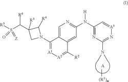 EGFR inhibitors