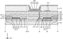 Display device and method of manufacturing the same