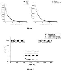 INJECTABLE HIGH-DRUG-LOADED NANOCOMPOSITE GELS AND PROCESS FOR MAKING THE SAME