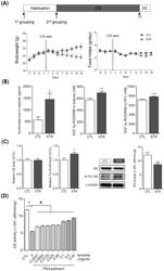 COMPOSITION FOR PREVENTING, AMELIORATING, OR TREATING DISEASE CAUSED BY NITRATION OF TYROSINE IN PROTEINS COMPRISING TYROSINE AS EFFECTIVE COMPONENT