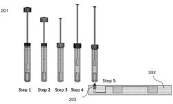 SAMPLE EXTRACTION DEVICE AND METHODS OF USING THE SAME