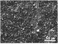 REFRACTORY ARTICLE, COATING COMPOSITION FOR PREVENTING REDOX REACTION, AND METHOD OF MANUFACTURING A REFRACTORY ARTICLE