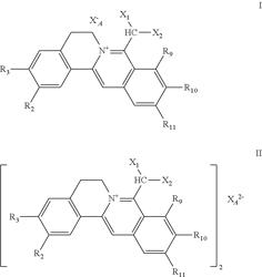 Hydrophilic berberine-type derivative and application thereof in preparing drug