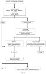 Process for the extraction of metal pollutants from treated cellulosic biomass