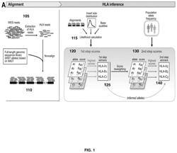 Polymorphic gene typing and somatic change detection using sequencing data