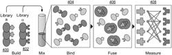 Methods for characterizing and engineering protein-protein interactions