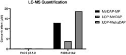 COMPOSITIONS FOR TREATING EPITHELIAL BARRIER FUNCTION DISORDERS