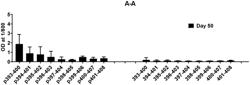 Heterologous Administration of Tau Vaccines