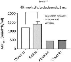 ANTI-C3 ANTIBODIES AND ANTIGEN-BINDING FRAGMENTS THEREOF AND THEIR USES FOR TREATING EYE OR OCULAR DISEASES