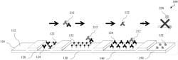 CAPTURE FLOW ASSAY DEVICE AND METHODS