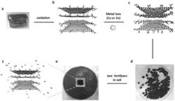 Graphene for fertilizer applications