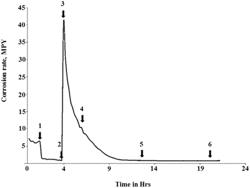 Identification and characterization of novel corrosion inhibitor molecules