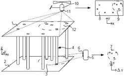 Positioning method and device for growing trees, construction elements or geological features