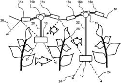 AN AQUACULTURE LUMINAIRE AND LIGHTING SYSTEM, AND A LIGHTING METHOD