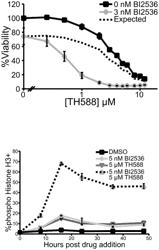 CANCER TREATMENT BY COMBINED INHIBITION OF POLO-LIKE KINASE AND MICROTUBULE POLYMERIZATION