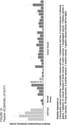 NOVEL PEPTIDES AND COMBINATION OF PEPTIDES FOR USE IN IMMUNOTHERAPY AGAINST VARIOUS TUMORS