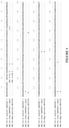 High amylose wheat with undetectable levels of SBEIIa protein