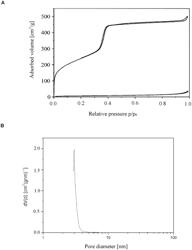 Functionalised bimodal periodic mesoporous organosilicates (PMOS) and method for producing same using pseudomorphic transformation