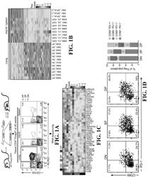 Methods and compositions for overcoming immunosuppression