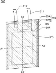 Power storage device, battery management unit, and electronic device