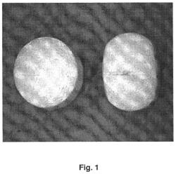 TAMPER RESISTANT DOSAGE FORMS