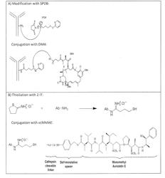 DRUG CONJUGATES COMPRISING ANTIBODIES AGAINST CLAUDIN 18.2