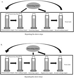 NUCLEIC ACID SEQUENCING METHOD