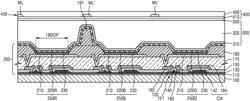 DISPLAY DEVICE