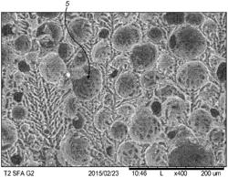 Freeze-dried coffee powder and a method for the manufacture thereof